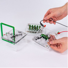 Magnetic Field Line Demonstration Set