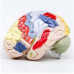 2x Life Size Regional Brain, 4 Parts