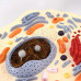 Animal Cell Model